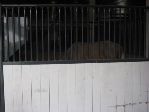 Property photo 41 - 80 Acres Offered in 4 Tracts - Horse Farm